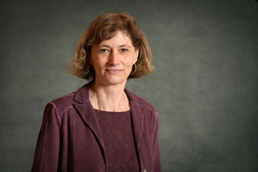 eds/Hiwa Naghshi Portrait von